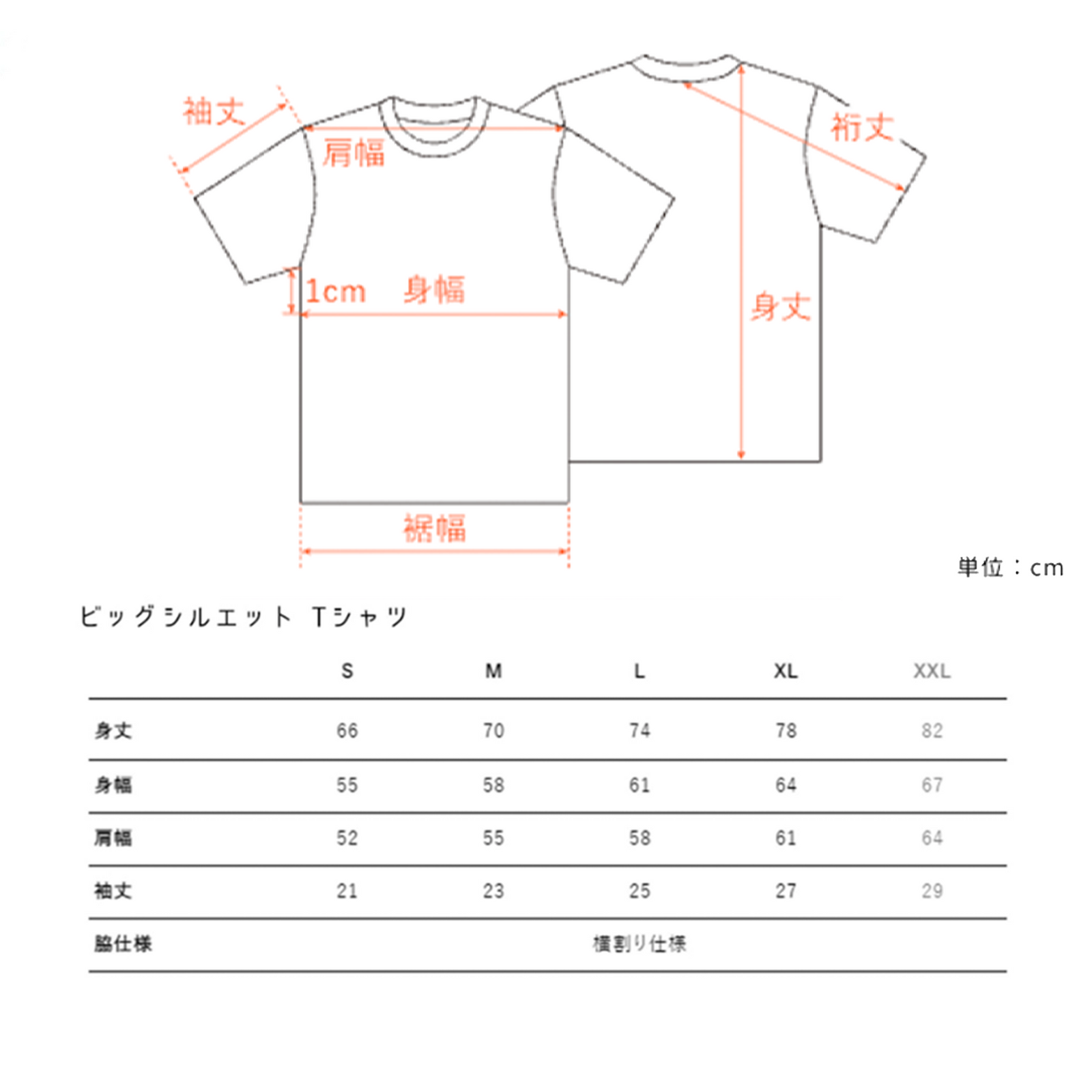 KUSO graph T サイズ詳細 1